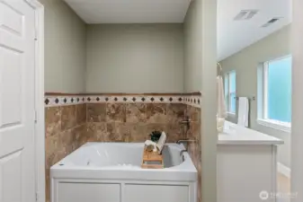 Primary Bathroom – Jetted Soaker Tub – The primary bath features a relaxing jetted soaking tub and includes a walk-in closet for generous storage.