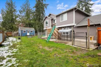 Fully fenced backyard includes a fire pit area, enclosed dog run, garden beds and mature fruit tree