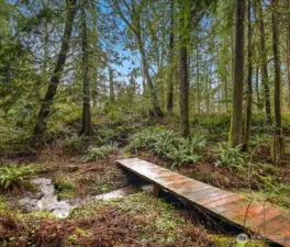 Trails and bridge over creek
