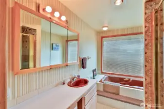 Primary bathroom with tub and separate shower