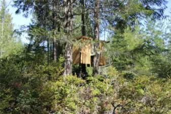 Seller built elevated lookout platform.