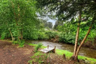 Creek running adjacent to lot