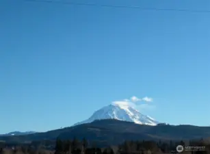 29 acres with Mt Rainier view with one rambler on it
