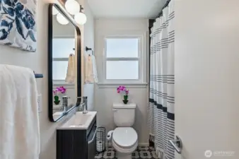 Full guest bathroom has designer touches and finishes.