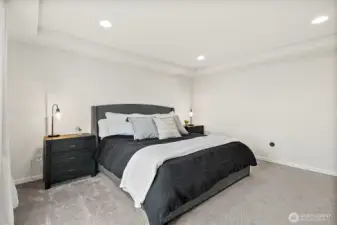 Large primary bedroom with tray ceiling.