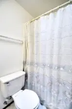 Main bath tub and shower