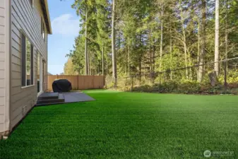 New Sod installed in backyard with mulch border ready for fresh flowers
