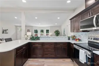 Amazing Kitchen! So much cabinetry and expansive gleaming quartz counters will make entertaining so fun!