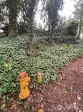 Landmark fire hydrant, view of slope facing South