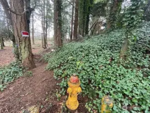 Eastward view from landmark fire hydrant from the West