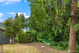 Back yard