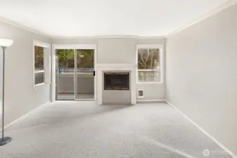 Gas Fireplace & Balcony Access