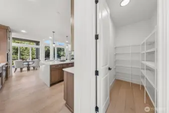 Huge walk-in pantry off the kitchen.