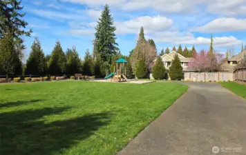 Playground near the entrance of the community of Hazelwood At Bellevue.