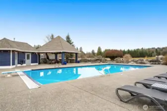 Resort-style pool and hot tub featuring a diving board and spacious patio area.