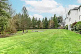 Athletic court and play area