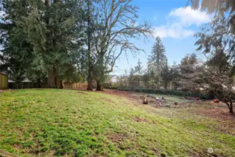 Plenty of space to play, a cozy fire pit, willow trees, rhododendrons, and beautiful old-growth pines.