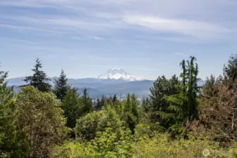 Stunning Mount Rainier views!!
