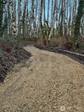 driveway to build site