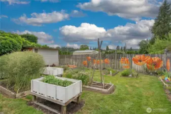 Amazing garden space