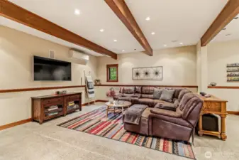 Lower Level Family Room