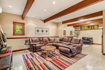 Lower Level Family Room