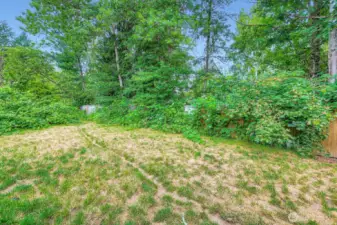 Backyard - greenbelt