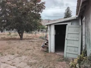 Shed in Fenced yard