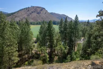 Above the pines, watch the birds soar from your deck!