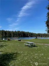 Lovely Park nearby with roped off area to swim and dock to play.