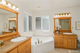 The 5-piece en-suite bath, complete with a jetted tub!