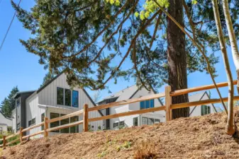 Thornton Creek Commons enjoys many heritage trees that were retained on the nearly 2 1/2 acre property.