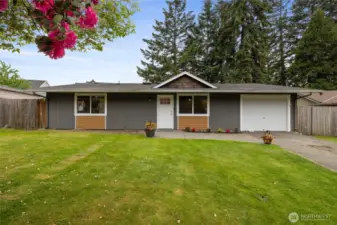 Front facade & front yard