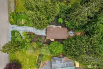 The home is surrounded with a lush private oasis of green!!