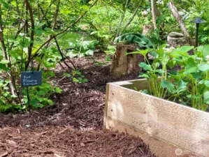 Adorable hanging slate signs throughout the yard labeling plants