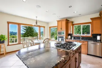 Gourmet custom chef's kitchen