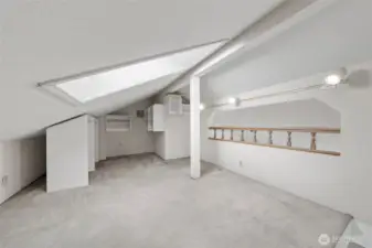 Plenty of storage above ladder in primary!