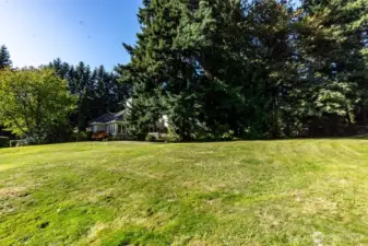 Large level and sunny lot with lots of privacy