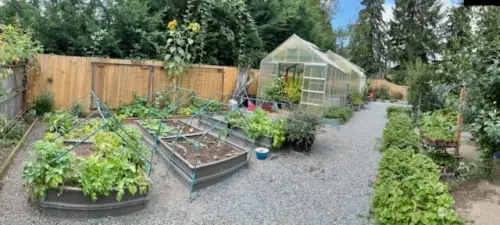 A beautifully flourishing garden in full bloom.