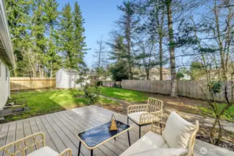 Large fully fenced yard with shed