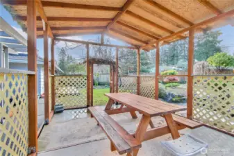 Gathering place in the backyard