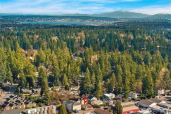 Located just a mile from the light rail station making this location a breeze!