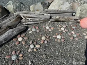 Front yard rock decor
