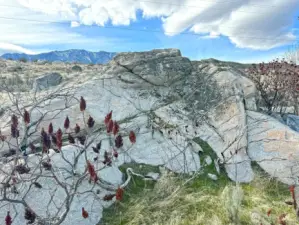 What a gorgeous statement piece for your landscape! This gorgeous boulder is along the top edge of lot 3.