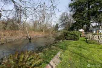 Samish river from the backyard