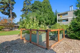 Grounds of this complex - Lake Washington School District