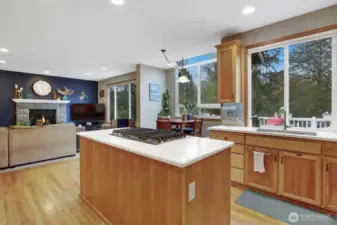 Open concept living, with kitchen eat-in area, large island for cooking.