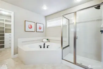 Luxurious primary bath with glass surround walk-in shower & soaking tub.