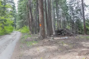Site of future shared garage near River Rd.