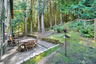 Backyard Oasis